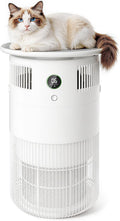 Home pet air purifier with washable filter, covering an area of up to 1290 square feet, purifies pet hair, dander, odors, and allergens, creating a quiet sleeping environment.